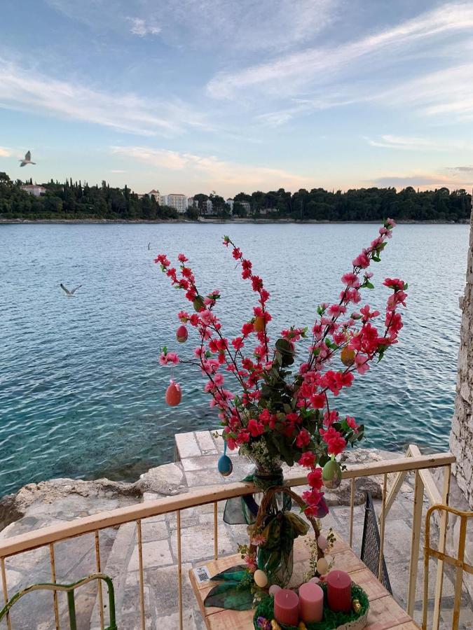 Villa Daniela Mit Pool In Bale, Bei Rovinj Fuer 4-6 Personen Екстериор снимка